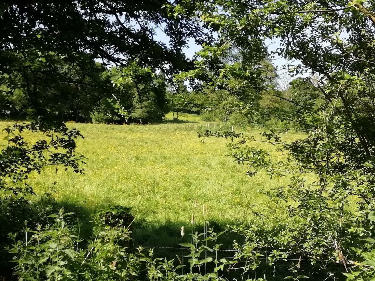 Gite Le Moulin Saint-Vaast-sur-Seulles Exteriör bild